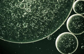 元气森林：出圈容易长红难