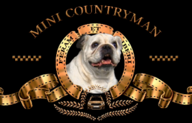 自黑、鬼畜、调戏甲方...MINI新广告太“不正经”了！