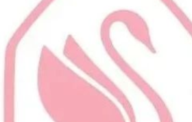 施华洛世奇换新logo，网友：天鹅变卤鹅！