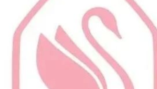 施华洛世奇换新logo，网友：天鹅变卤鹅！