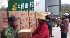 拼多多携邮政助力合作社 三方协作为农户搭建“防风墙”