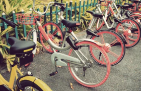 缺失的运维，困顿的共享单车