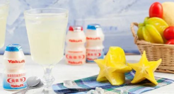 佛系“奇葩”养乐多，一个红瓶闯天下