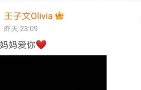 “ 我确实有个小孩”！王子文官宣孩子文案太甜了！