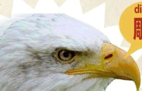 淘宝100万征集沙雕故事，评论区给我笑yue了