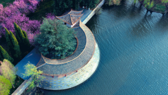 金地集团“上帝视角”系列海报，绝美又高级