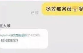英特尔找杨笠代言被骂后，用脚公关的吧？