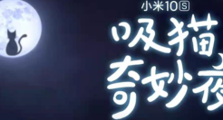 小米10S发了一首《吸猫の歌》，这支猫片有点萌！