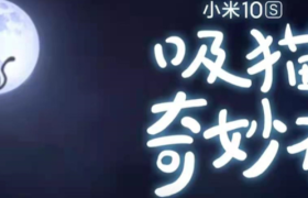 小米10S发了一首《吸猫の歌》，这支猫片有点萌！