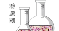 食用“玻尿酸”？这届品牌割起韭菜又狠又准!