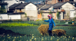 2021立夏文案，精彩非凡！