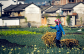 2021立夏文案，精彩非凡！