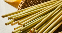 纸吸管引“世界级天怒人怨”，日本学生发明“草吸管”获百万点赞！吸水不软、还能做宠物口粮！网友：给我来