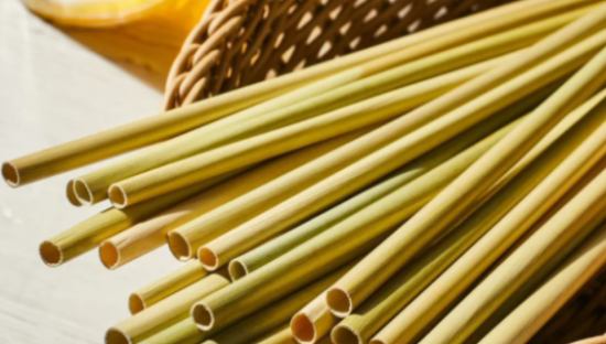 纸吸管引“世界级天怒人怨”，日本学生发明“草吸管”获百万点赞！吸水不软、还能做宠物口粮！网友：给我来