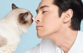 胡歌变猫，喵不可言！