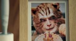 胡歌最新角色曝光，竟是一只「猫」......