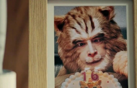 胡歌最新角色曝光，竟是一只「猫」......