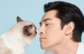 胡歌变猫、蒙牛再推“高考押题奶”、奈雪の茶推牵手杯