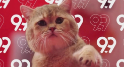 哈哈哈！我们的日常生活，居然被拍成魔性广告片了