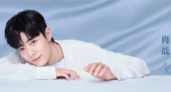 拉上肖战玩转粉丝应援，倍轻松的底层逻辑是什么？