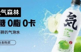 独家 | 5年估值400亿，从饮料到零食，解密元气森林爆款方法论！