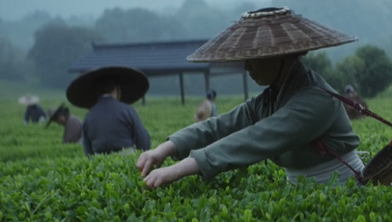 东方树叶，用一个“香”字讲好茶故事