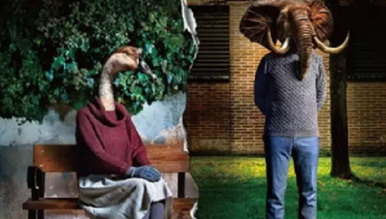 改名Hello，这十年陌陌做了什么？