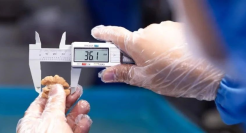 抓住“营养潮”，内卷的每日坚果开始更“新”了！