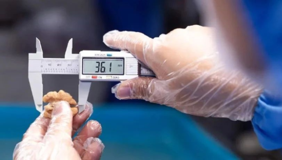 抓住“营养潮”，内卷的每日坚果开始更“新”了！