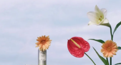 七夕将至，品牌们是如何表达“我爱你”的