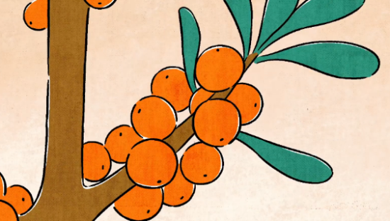 海底捞携手蚂蚁森林首推沙棘火锅助力绿色公益