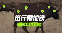 蚂蚁森林超可爱广告！萌到逆天