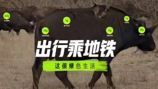 蚂蚁森林超可爱广告！萌到逆天