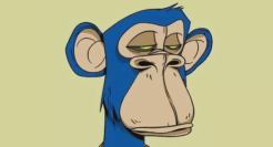 库里花18万美元买头像？同款合集来了！