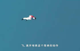 Jordan发布全新品牌短片《心比天高》