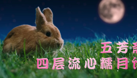 五芳斋中秋共享广告