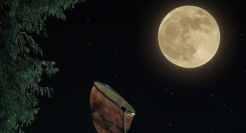 荣耀微电影《抓月亮》：抓得住的是月亮，藏不住的是想念