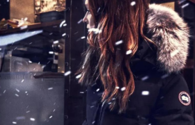 加拿大鹅，终于骗不下去了！