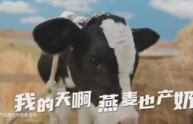 最洗脑的广告，玩的竟然是高情商？