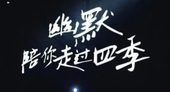 好文案，都藏在《脱口秀大会》里