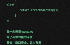 杜蕾斯程序员节写的文案，情话满满！