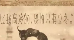 角度有趣的立冬文案，值得一看再看