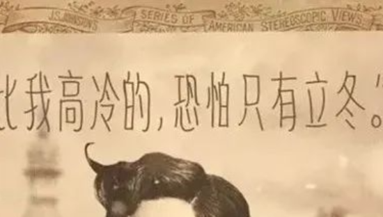 角度有趣的立冬文案，值得一看再看