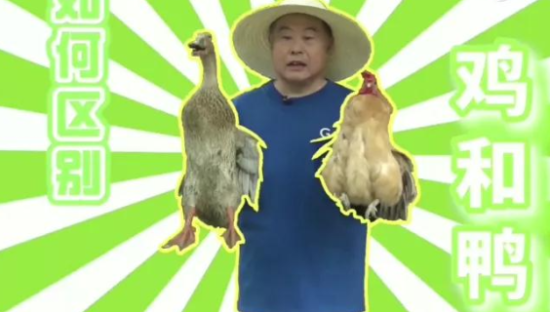 老乡鸡董事长上综艺，太会整活了！