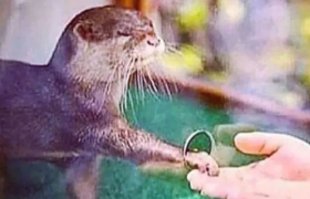 32句社恐文案，要戳中你了！