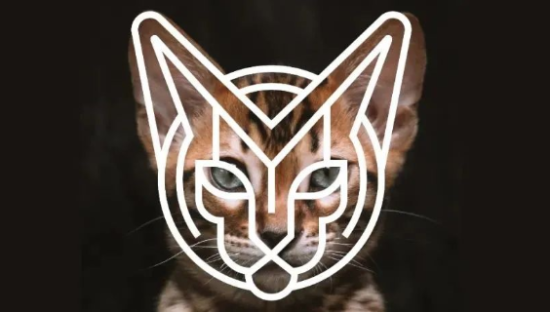 不会画LOGO？看完这篇学会两个设计思路！