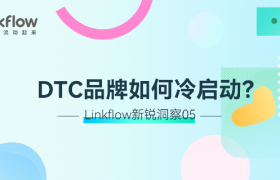 Linkflow新锐洞察05 丨 DTC品牌如何冷启动？