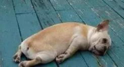 40句成年人的文案“如果坐牢有平替，那就是上班 ”