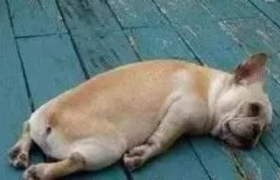 40句成年人的文案“如果坐牢有平替，那就是上班 ”