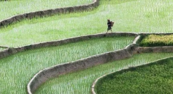 如何分分钟，写出文案金句。